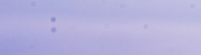 1:1 close-up of sensor spots how to clean your camera sensor