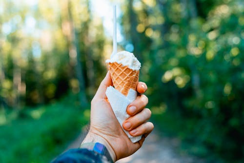  Ormanda vanilyalı dondurmalı küçük bir wafflecone tutan adamın eli